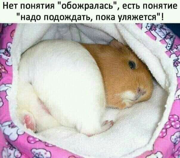 Нет понятия обожралась есть понятие надо подождать пока уляжется _ _
