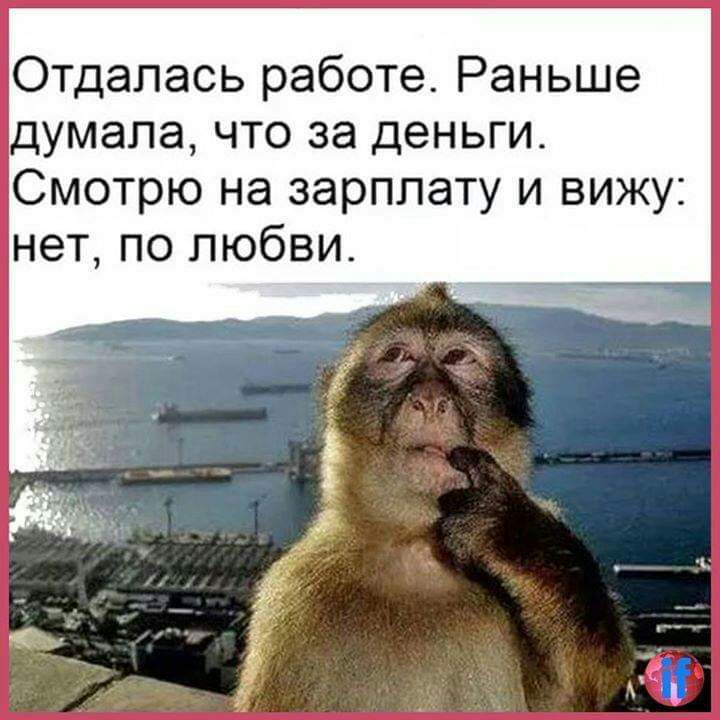 Отдапась работе Раньше думала что за деньги Смотрю на зарплату и вижу нет по любви
