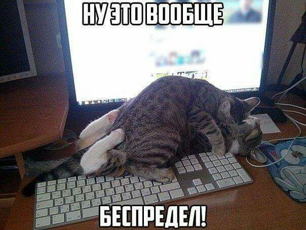 БЕШРЕДЕЛ