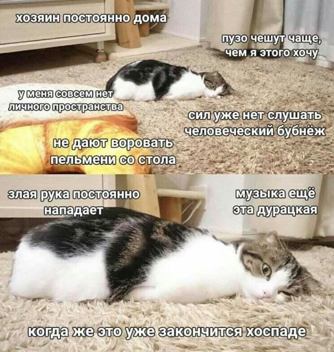 утиные а 4 стола д3 пятиэтажка хоеад