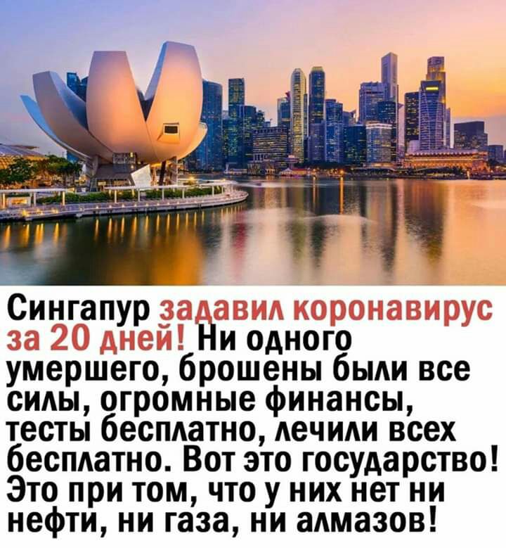 Сингапур 1 7 1 __ Ни одного умершего брошены были все силы огромные финансы тесты бесплатно лечили всех беспдатно Вот это государство Это при том что у них нет ни нефти ни газа ни алмазов
