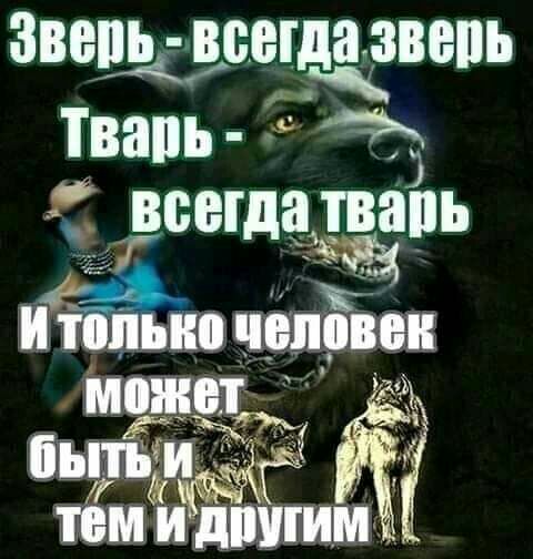 эвещдсещёвепь ТВЗПЪ 3 _всегдадварь ЧЗ С ъ только чатик 321 ііыдьдиз ЁЙъз Милиции