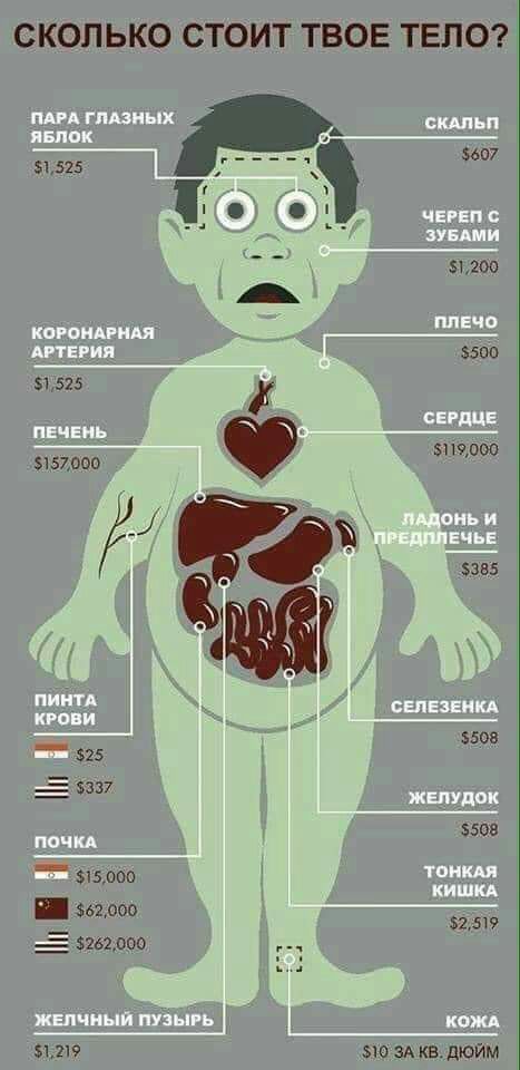 СКОЛЬКО СТОИТ ТВОЕ ТЕЛО 51525 _ 51200 500 31 525 г 5151000 000 _ _ 53в5 _ звон 525 _ 5337 5508 _ 315000 ьг ооо _ 5215117 _ 3761000 51215 510 ЗА кв дюйм