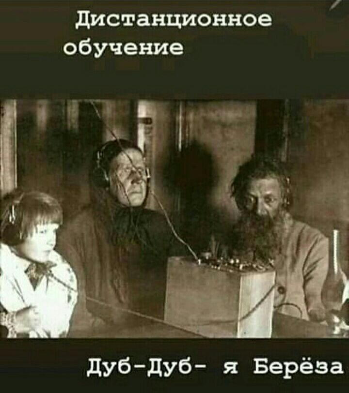 дистанционное обучение дуб дуб я Берёза