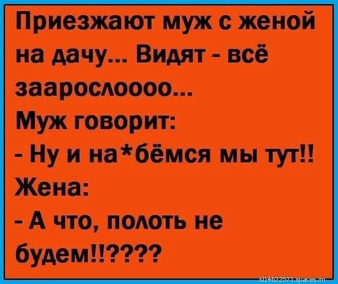 Приезжают муж с женой на дачу Видят всё зааросАоооо Муж говорит Ну и набёмся мы тут Жена А что полоть не будем