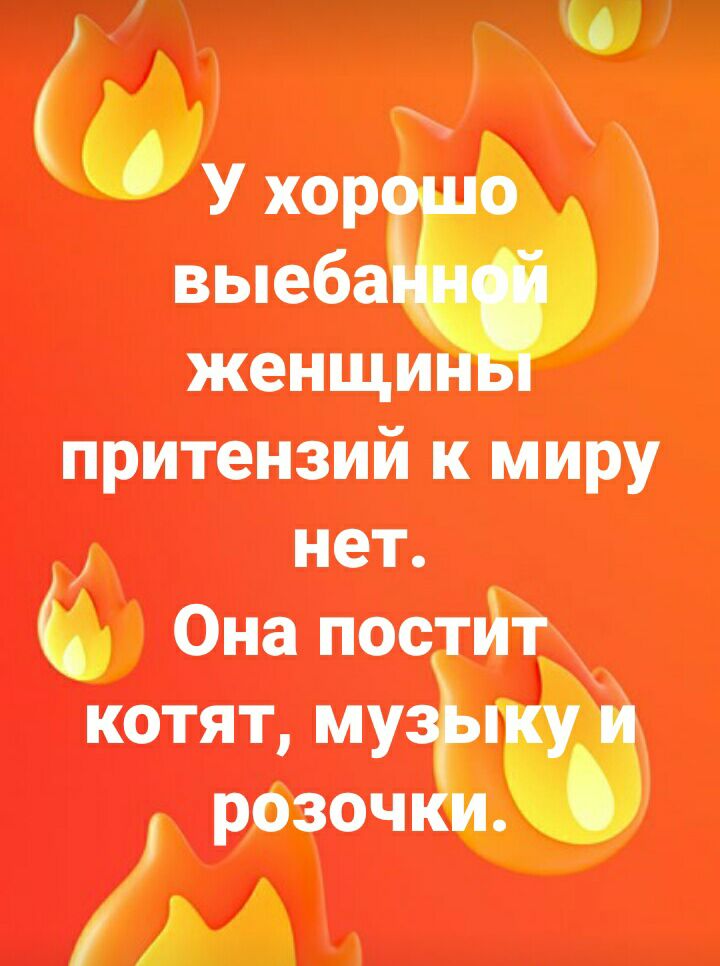 притензии к Миру нет Оман котят Щ
