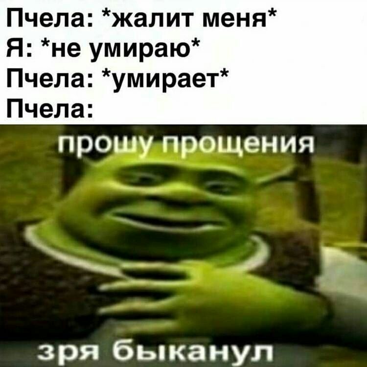 Пчела жалит меня Я не умираю Пчела умирает Пчела прошу прощения зря быканул