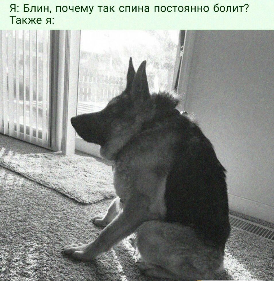 Я Блин почему так спина постоянно болит Также я