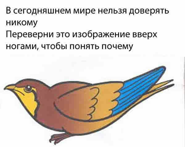 В сегодняшнем мире нельзя доверять никому Переверни это изображение вверх ногами чтобы понять почему