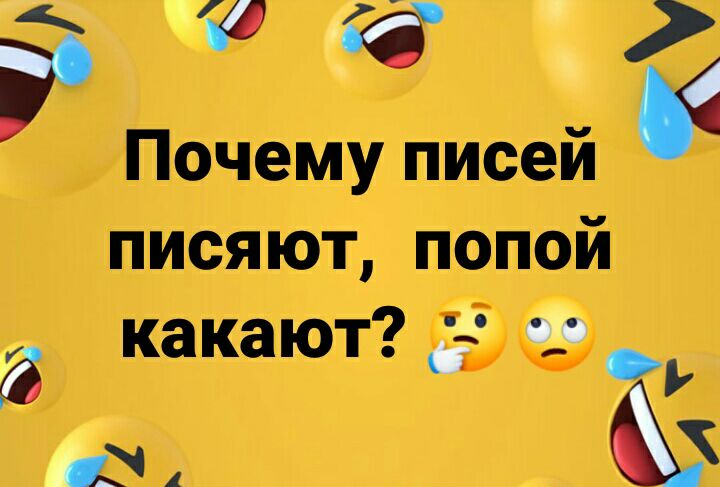С Почему писей писяют попой 3 какают ё 04 из