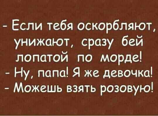 Если тебя оскорбляют унижают сразу бей лопатой по морде Ну папа Я же девочка Можешь взять розовую
