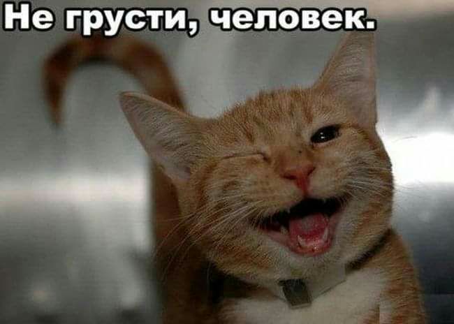 Не грусти