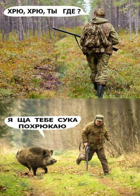 А ХРЮ ХРЮ ТЫ ГДЕ