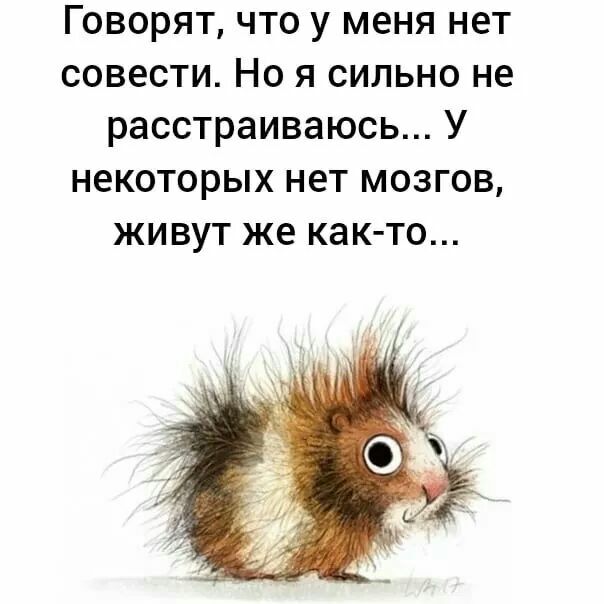 Говорят что у меня нет совести Но я сильно не расстраиваюсь У некоторых нет мозгов живут же как то
