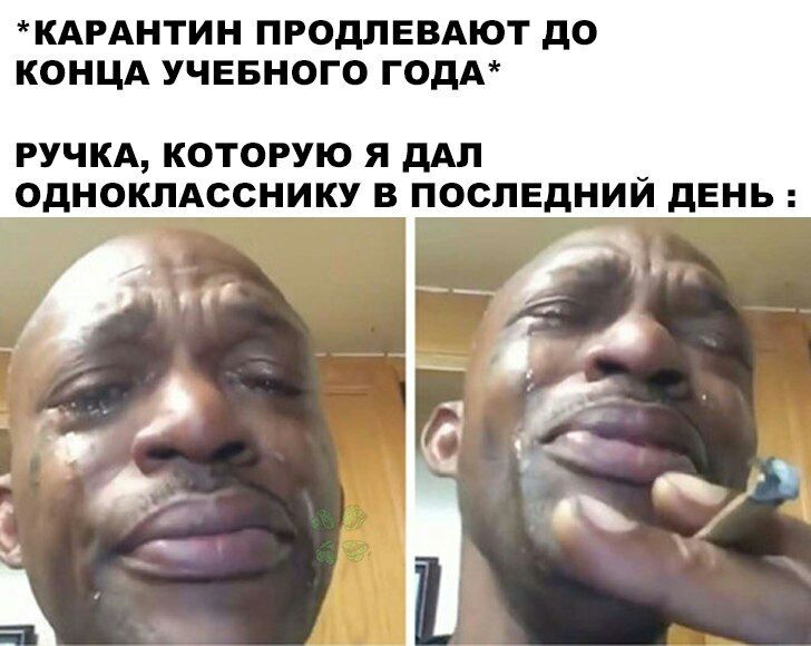 КАРАНТИН ПРОДЛЕВАЮТ дО КОНЦА УЧЕБНОГО ГОДА РУЧКА КОТОРУЮ Я дАП ОДНОКЛАССНИКУ В ПОСЛЕДНИЙ дЕНЬ