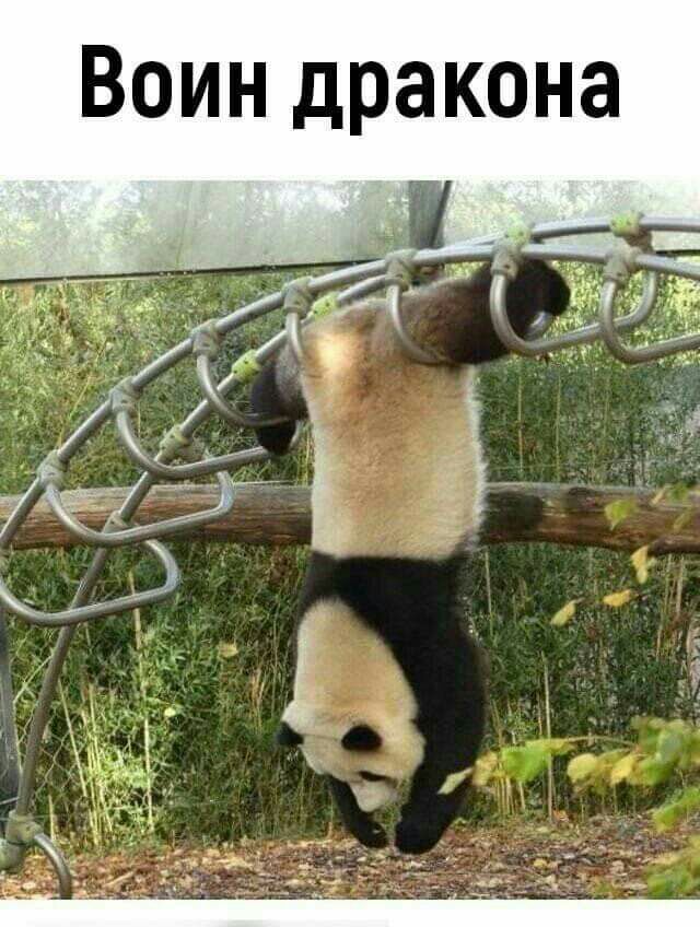 Воин дракона