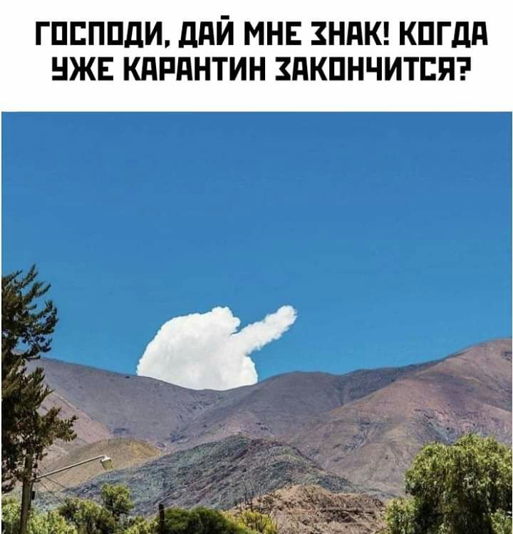 ГПЕППДИ ддЙ МНЕ ЗНПК КПГдП НЖЕ КПРПНТИН ЗПКПНЧИТЕП