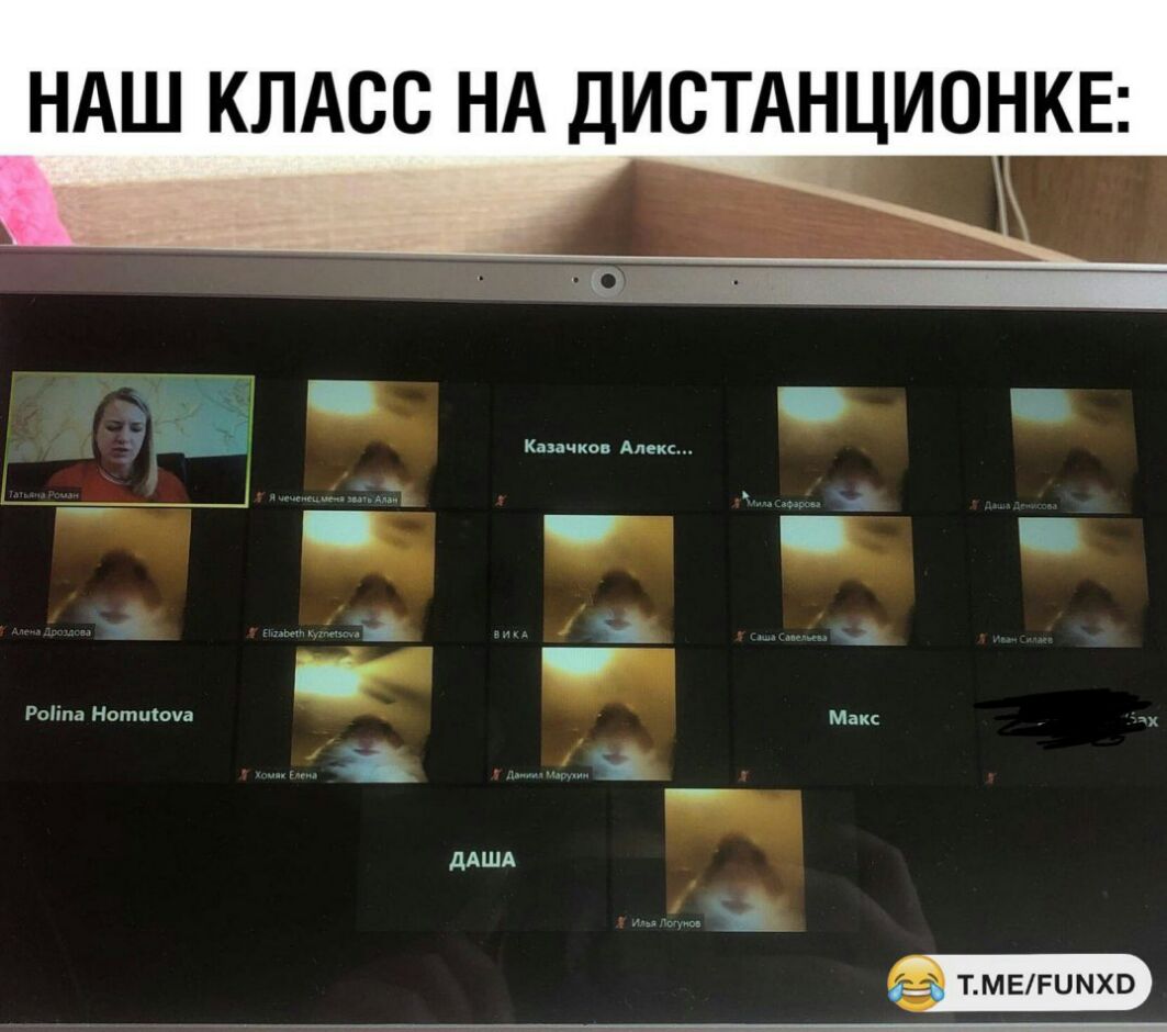 НАШ КЛАСС НА ДИСТАНЦИОНКЕ ЁЁ ТМЕРЦМХО