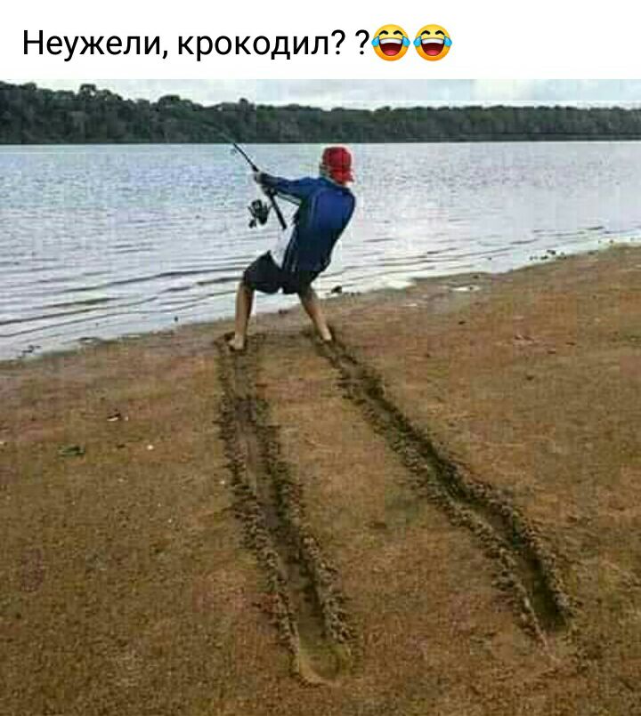 Неужели крокодил Фё