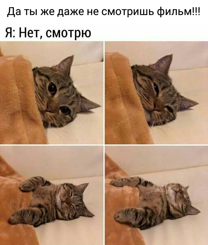 Да ты же даже не смотришь фильм Я Нет смотрю