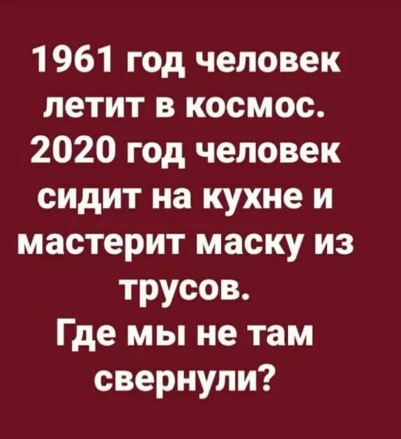 1961 год человек летит в космос 2020 год человек сидит на кухне и мастерит маску из трусов Где мы не там свернули