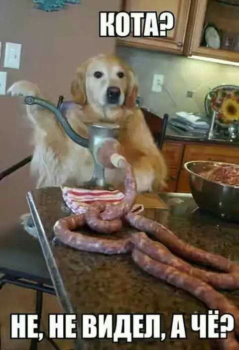Е Е ВИДЕЛ д ЧЁ
