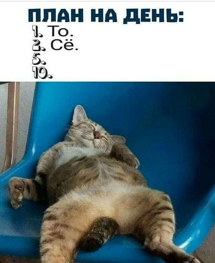 ППА НА дЕНЬ