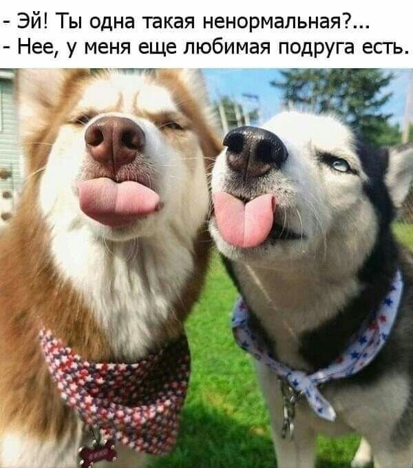 Эй Ты одна такая ненормальная Нее у меня еще любимая подруга есть ___Г