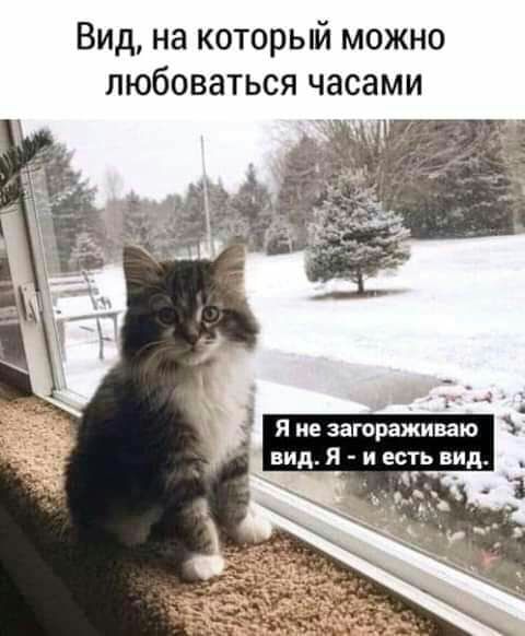 Вид на который можно любоваться часами