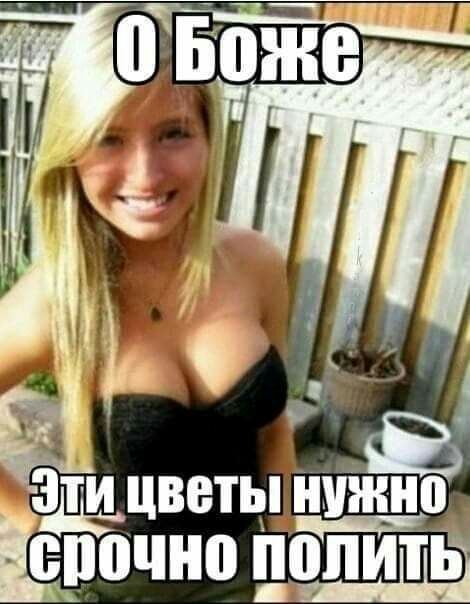 г в ЭТИ цветынижно спочно поьпит