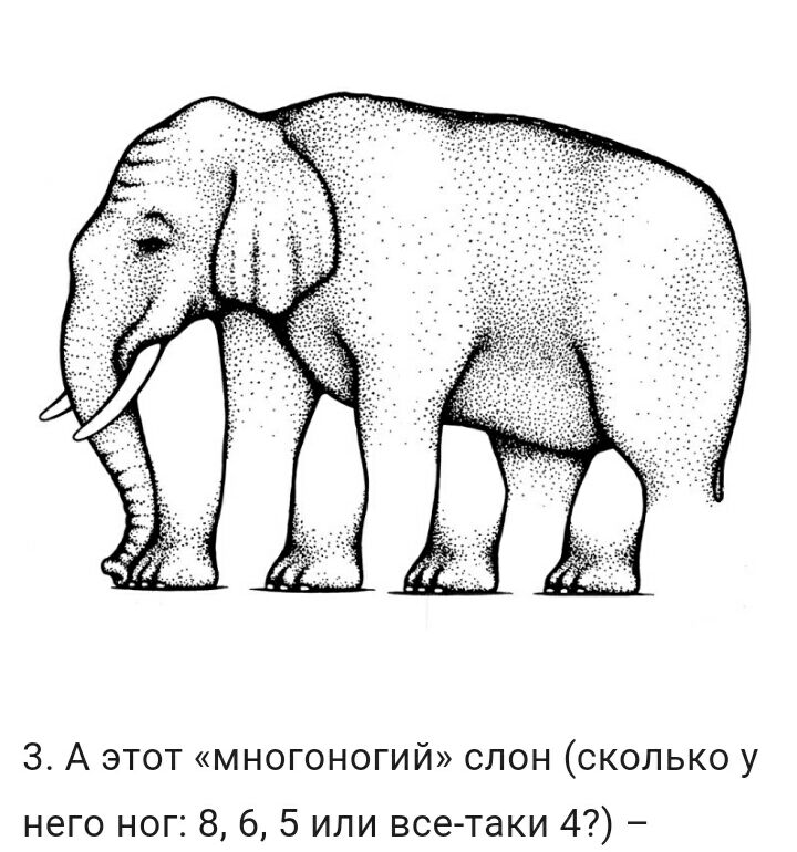 А этот многоногий слон сколько у него ног 8 6 5 или все таки 4