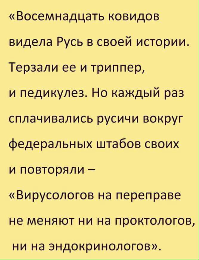 Восемнадцать ковидов видела Русь в своей истории Терзали ее и триппер и педикулез Но каждый раз сплачивались русичи вокруг федеральных штабов своих и повторяли Вирусологов на переправе не меняют ни на проктологов НИ НЭ эндокринологов