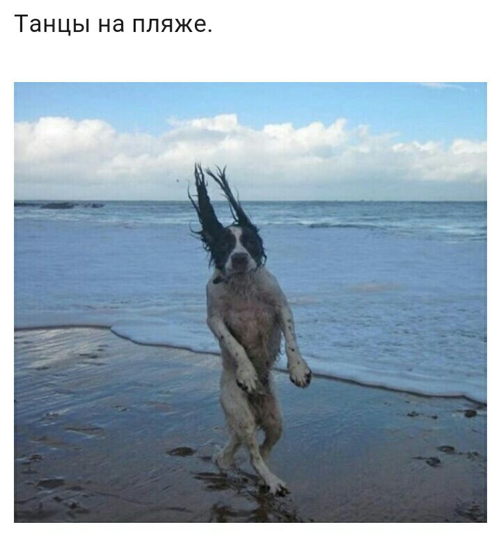 Танцы на пляже