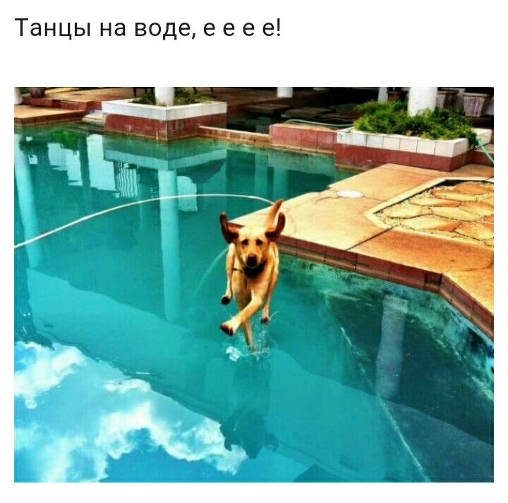 Танцы на воде е 6 е 6