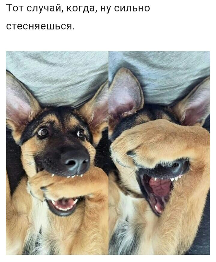 Тот случай когда ну сильно СТЭСНЯёШЬСЯ