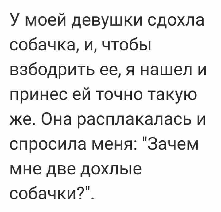 У моей девушки сдохла собачка и чтобы взбодрить ее я нашел и принес ей точно такую же Она расплакалась и спросила меня Зачем мне две дохлые собачки5