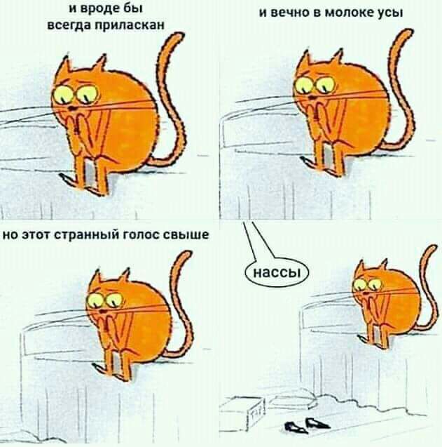 И ВИДЕ бы и вечно в молоке усы всегда припаскаи но этож странный гппос свыше нассы