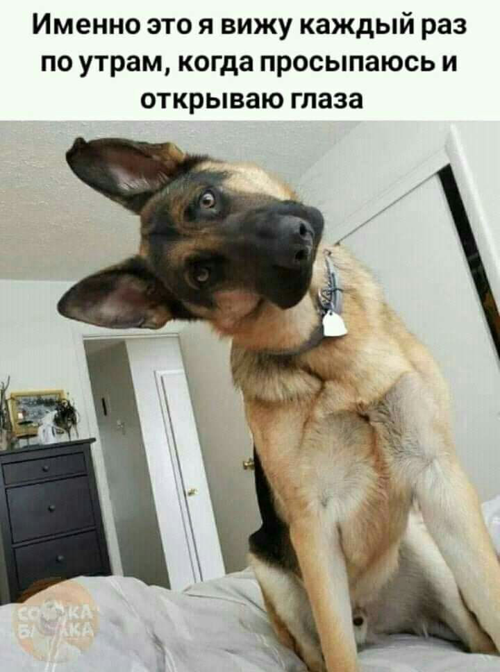 Именно это я вижу каждый раз по утрам когда просыпаюсь и открываю глаза