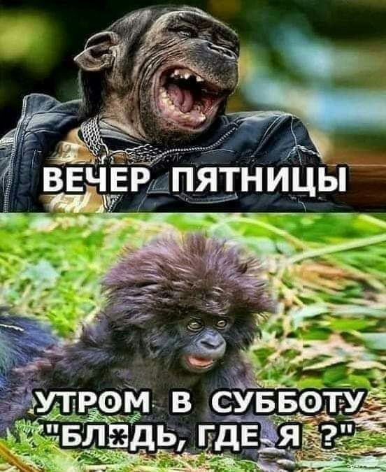 ВЕЧЕРдпятницы Ё _