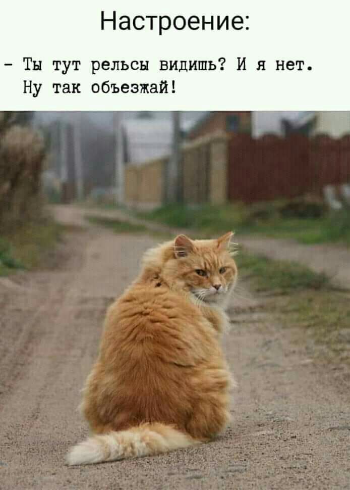 Настроение Ты тут рельсы видишь И я нет Ну так объезжай