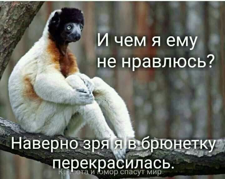 а 5 И чем я ему не нравлюсь перекрасилась Мімшй И Мир спасуі мир