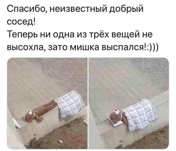 Спасибо неизвестный добрый сосед Теперь ни одна из трёх вещей не высохла зато мишка выспался