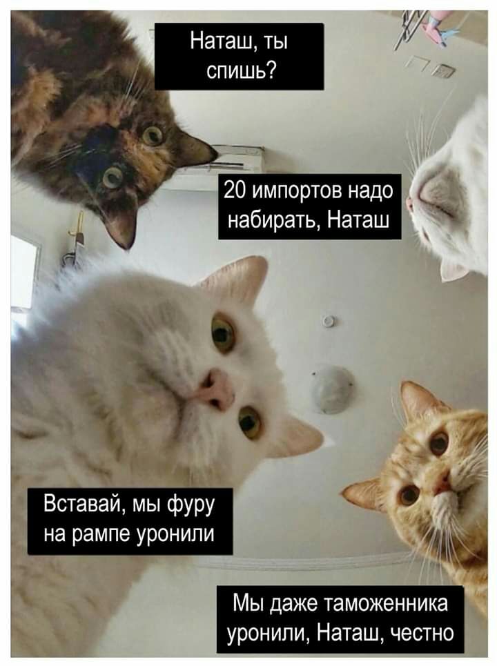 _ ь Т _ О Вставай мы фуру на ампе онипи р ур 1 Мы даже таможенника уронили Наташ честно