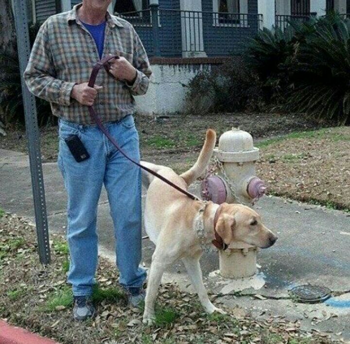гзэ _ Ж И