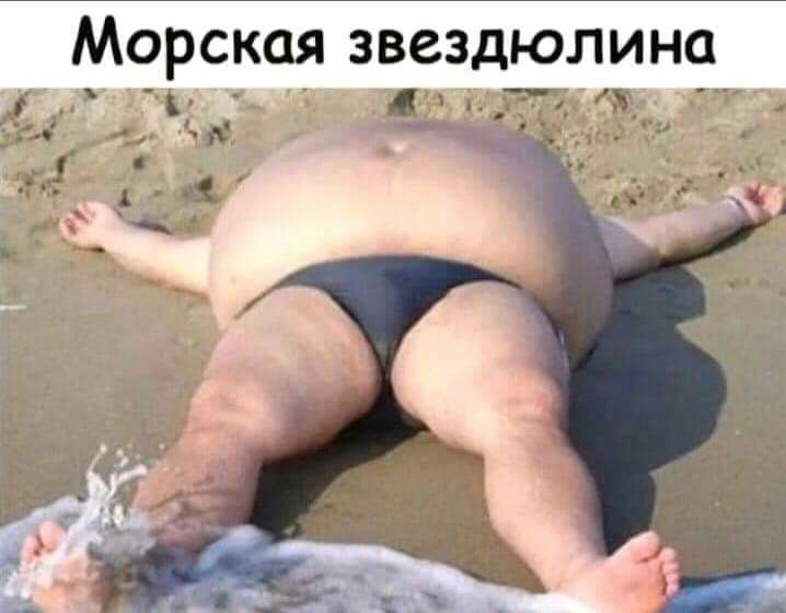 МОрскаЯ звездюлина А и _