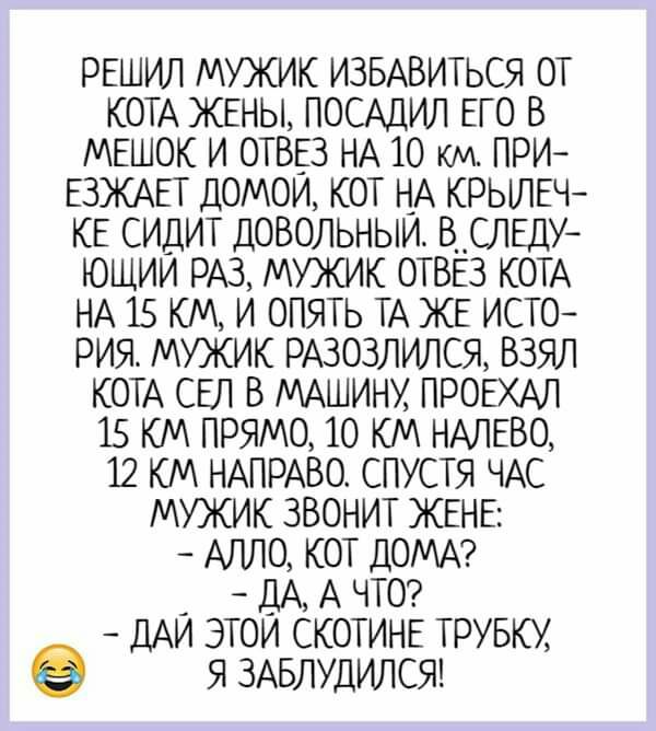 Сегодня утром встреченный мной вчера на набережной старик опять сидел на той же скамейке запятые