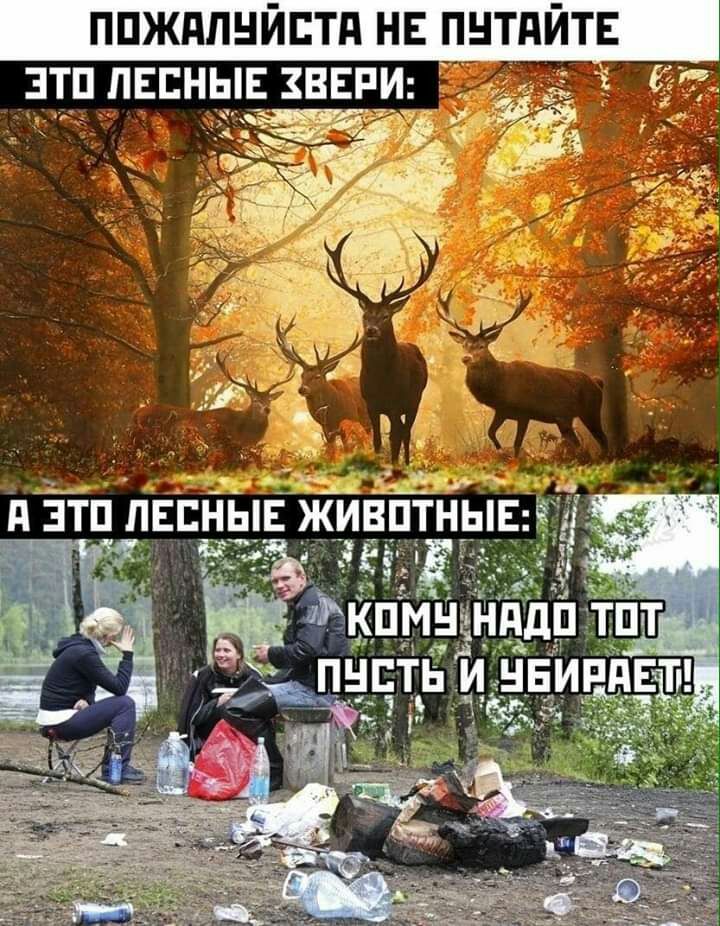 ППЖдЛНЙЕТд НЕ ПНТдЙТЕ