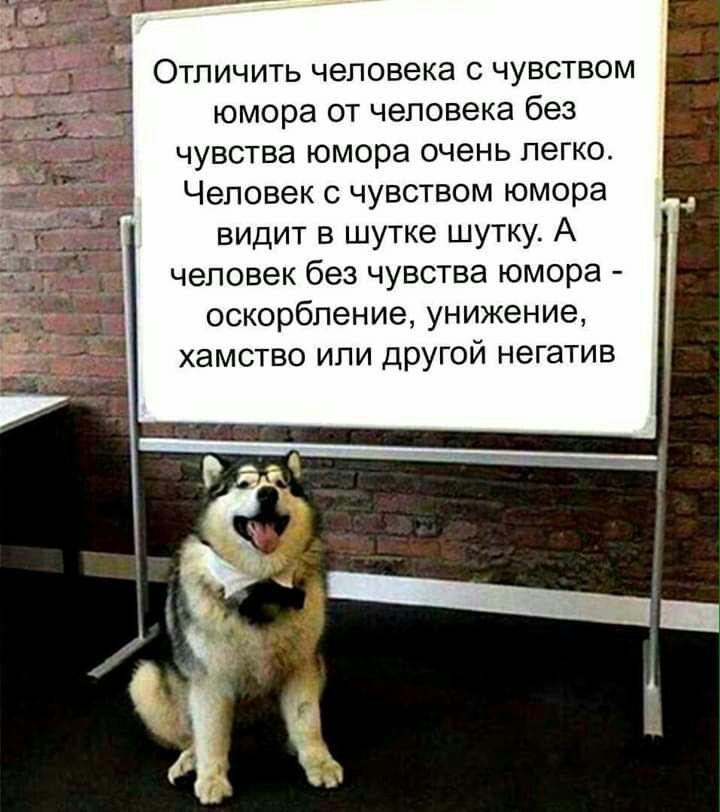 Отличить человека с чувством юмора от человека без чувства юмора очень легко Человек с чувством юмора видит в шутке шутку А человек без чувства юмора оскорбление унижение хамство или другой негатив