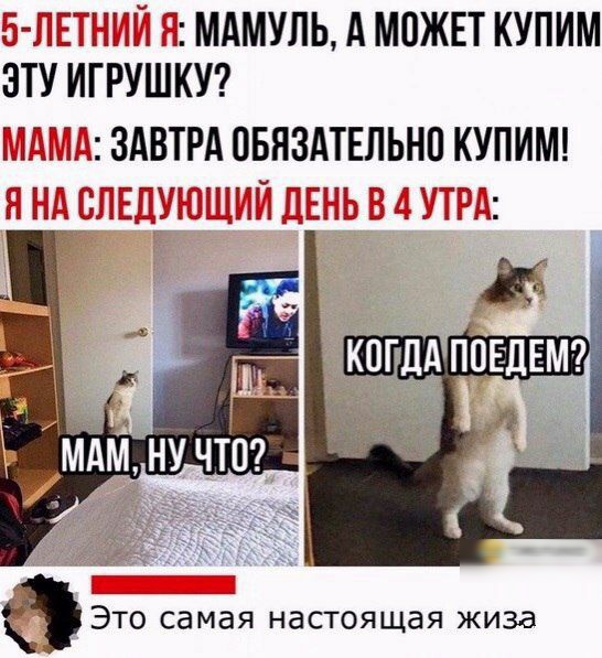 М_АМУЛЬ А МОЖЕТ КУПИМ ЭТУ ИГРУШКУ 7 Ё ЗАВТРА ОБЯЗАТЕЛЬНП КУПИМ Это самая настоящая жиза