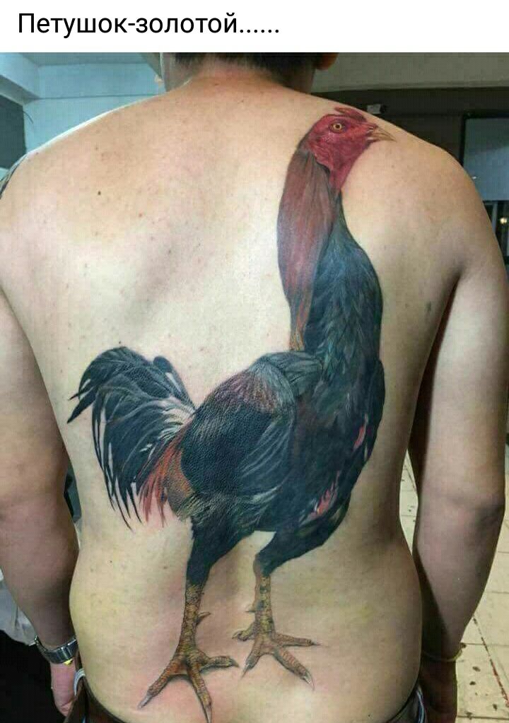 Петушок золотой